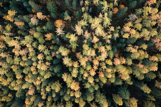 1752689 (a): :2048x1365